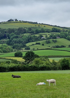 Could green finance support food production on your farm?