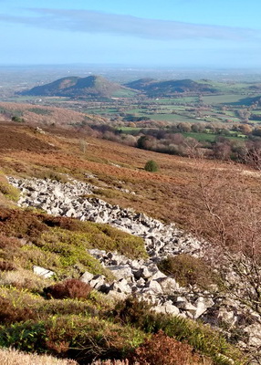 Stiperstones landscape welcomes rare wildlife and triples in size