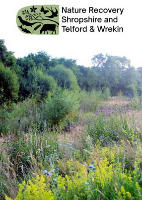 Have Your Say: New Nature Recovery Map Now Open for Consultation