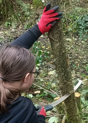Rescuing Rocks & Overgrown Relics