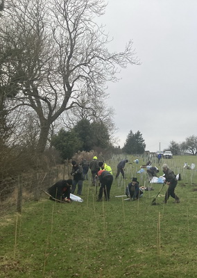 Hedge planting, Pennerley