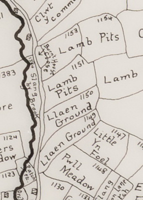 Talk: Field names in the upper Clun