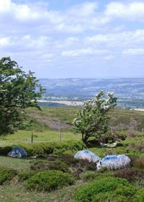 The hidden Stiperstones