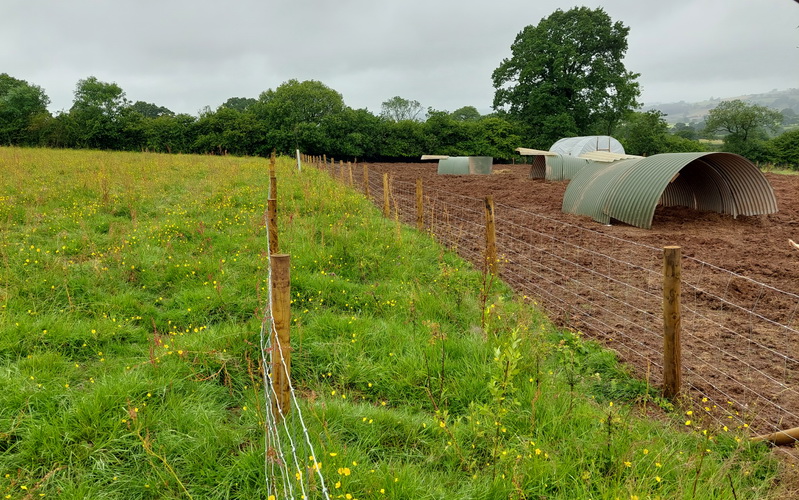 photo of new double fencing alongside where the pigs are kept