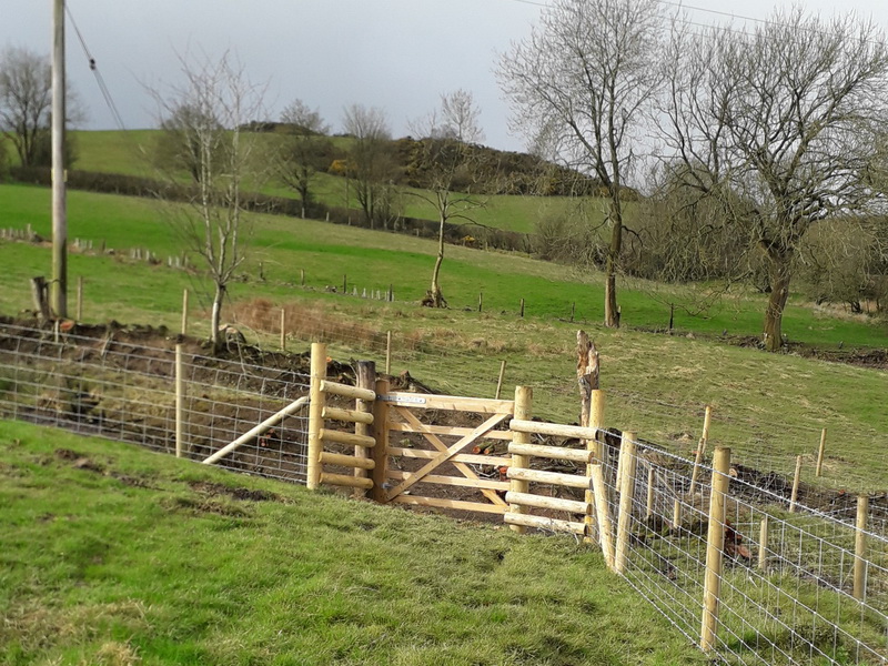 photo of new fencing and gate on farm