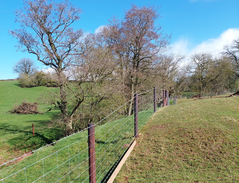 photo of new fencing on the farm