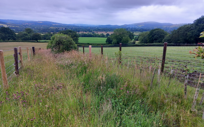 photo of new double fencing with new hedge line planted