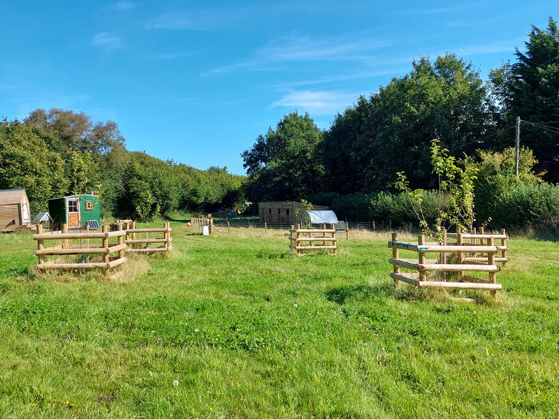 Photograph of newly planted orchard