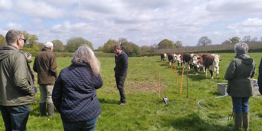 farm walk