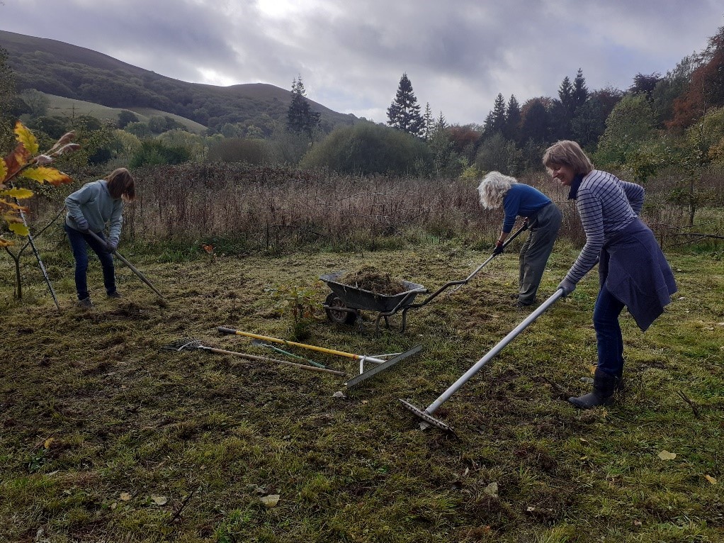 volunteers raking ground