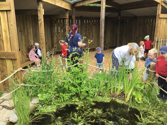 restored pond area at a school in the Shropshire Hills